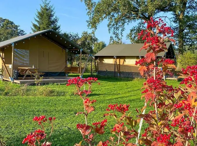 Luxe tent Camping?glamping Morskersweitje Winterswijk